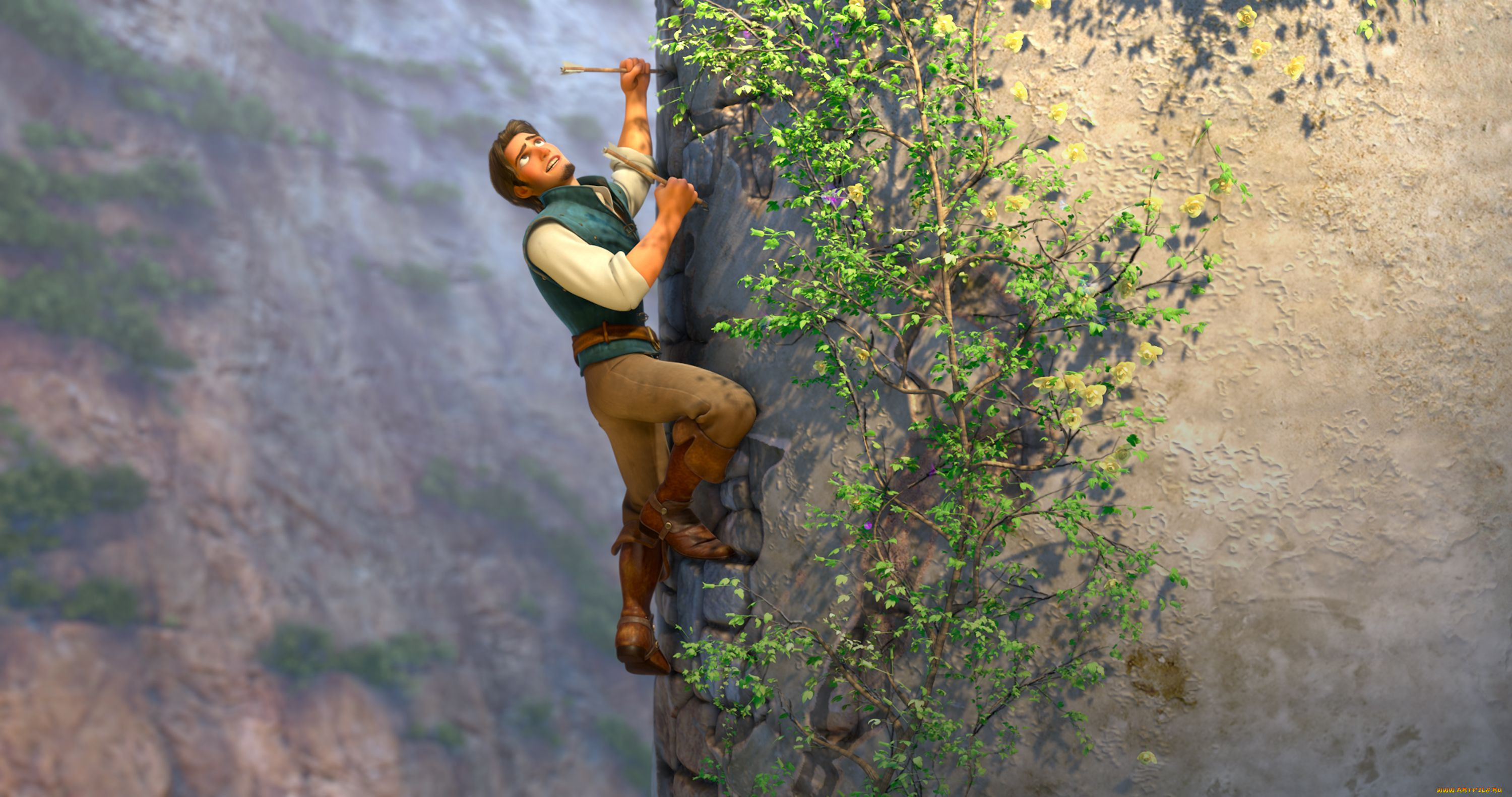 tangled, , , , 